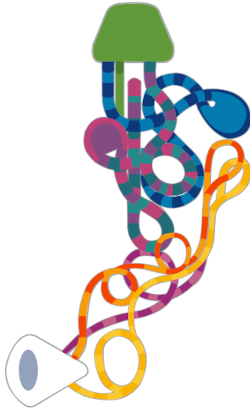 Choose your cabin on Deck 20             